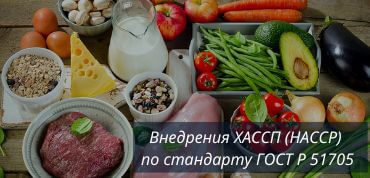 Внедрение ГОСТ Р 51705.1-2001