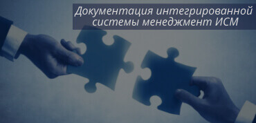 Документация ИСМ