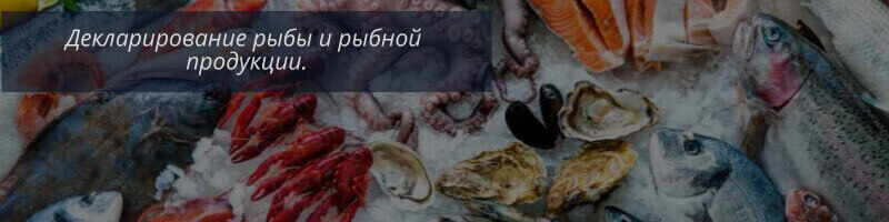 Рыба и рыбная продукция